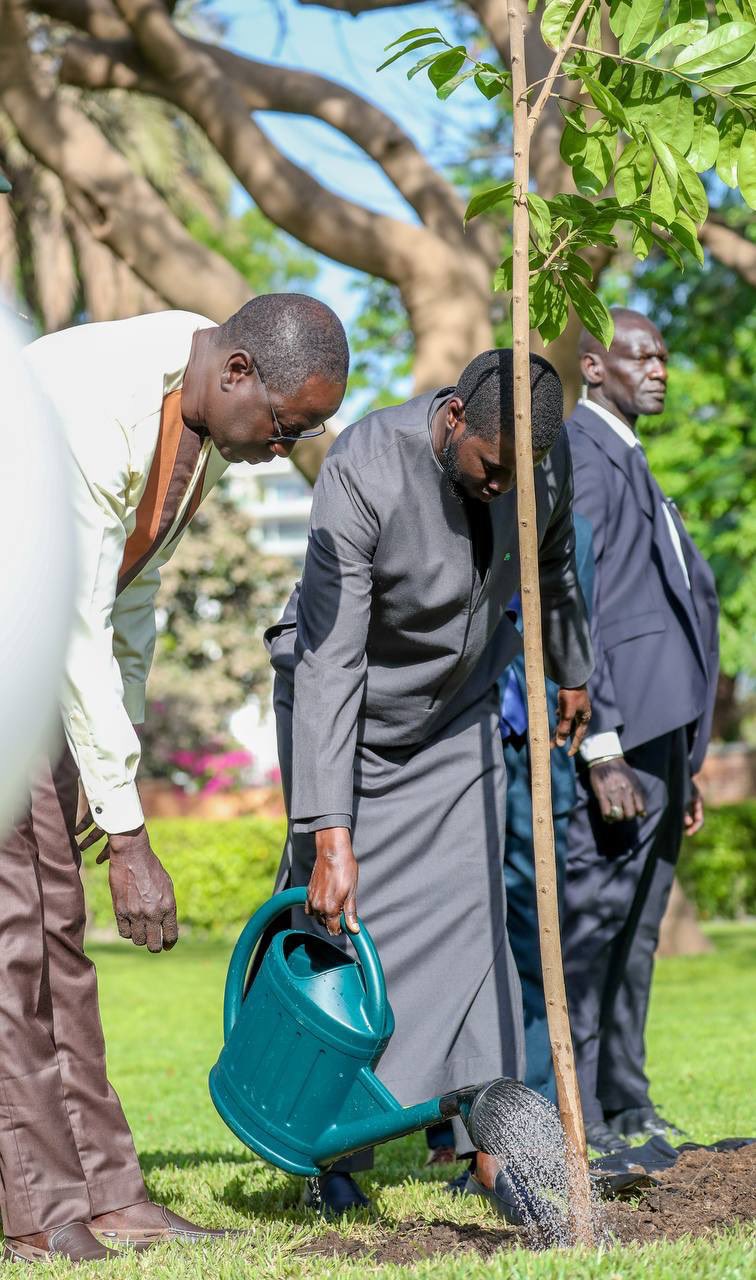 Le Président Bassirou Diomaye Faye lance la Journée Nationale de l’Arbre à Touba